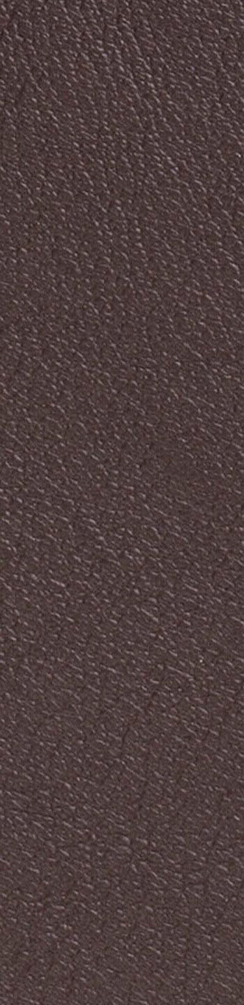 Leather II No. 93129