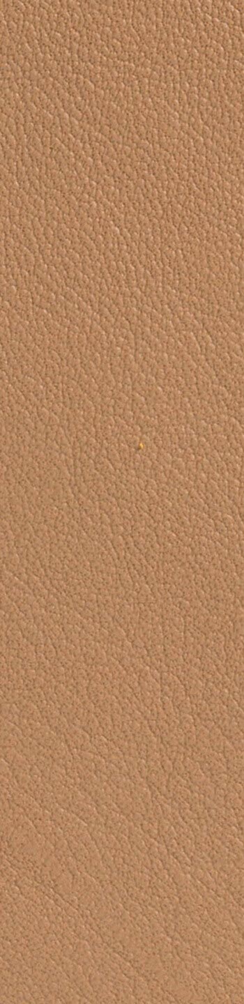 Leather II No. 43054
