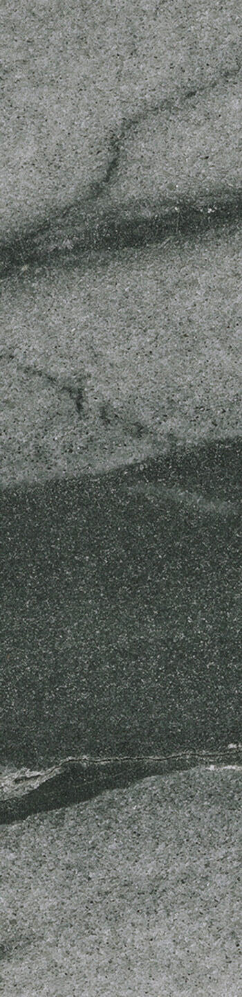 Sequoia Black leathered