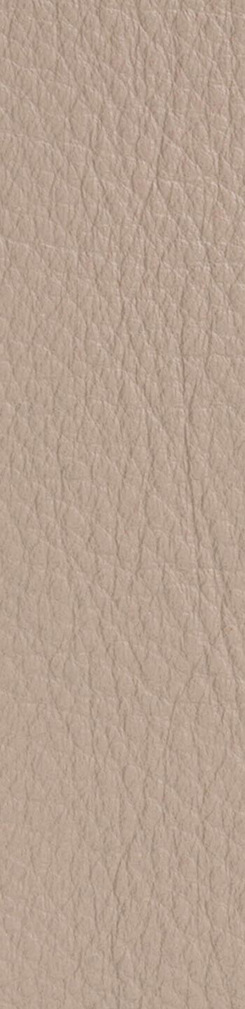 Leather II No. 13072