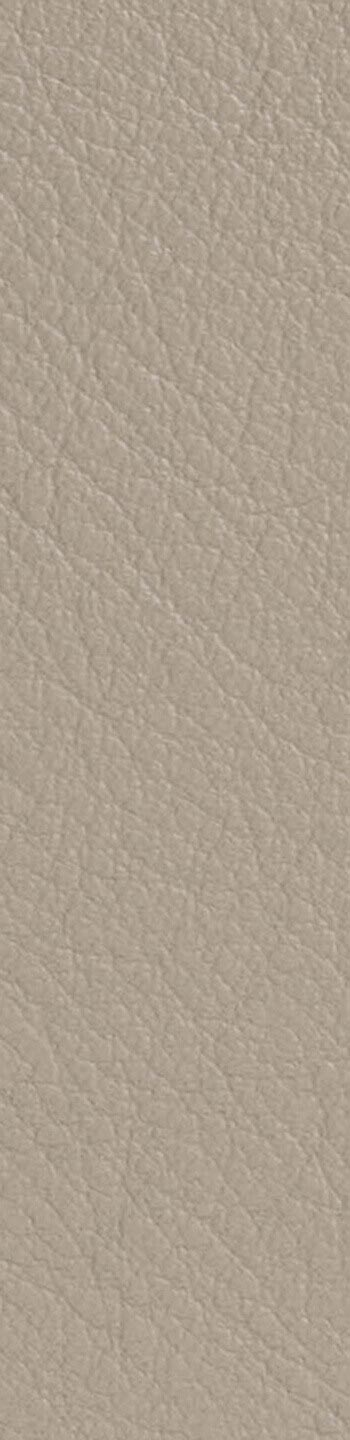 Leather II No. 01003