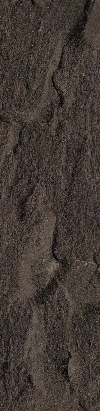 Oil slate