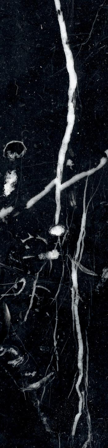 Nero Marquina