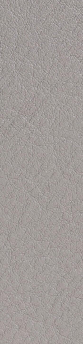 Leather II No. 11049