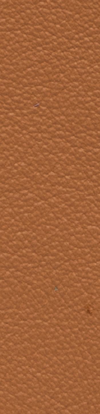 Leather II Nr. 43283