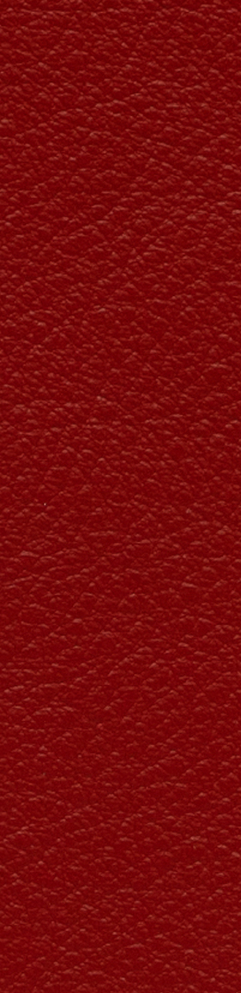 Leather II No. 45035
