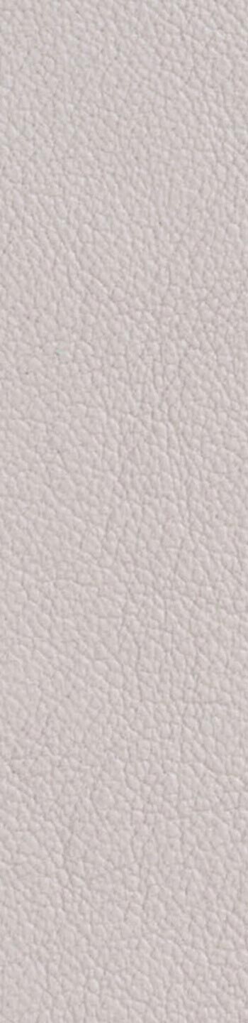 Leather II No. 11073