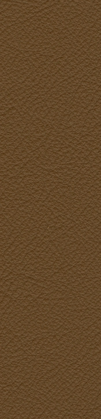 Leather I No. 607