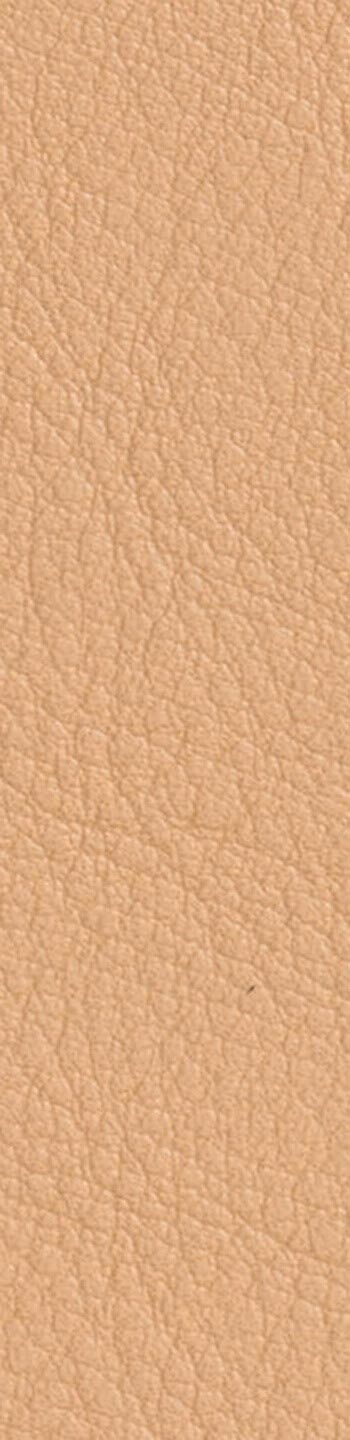 Leather II No. 22030