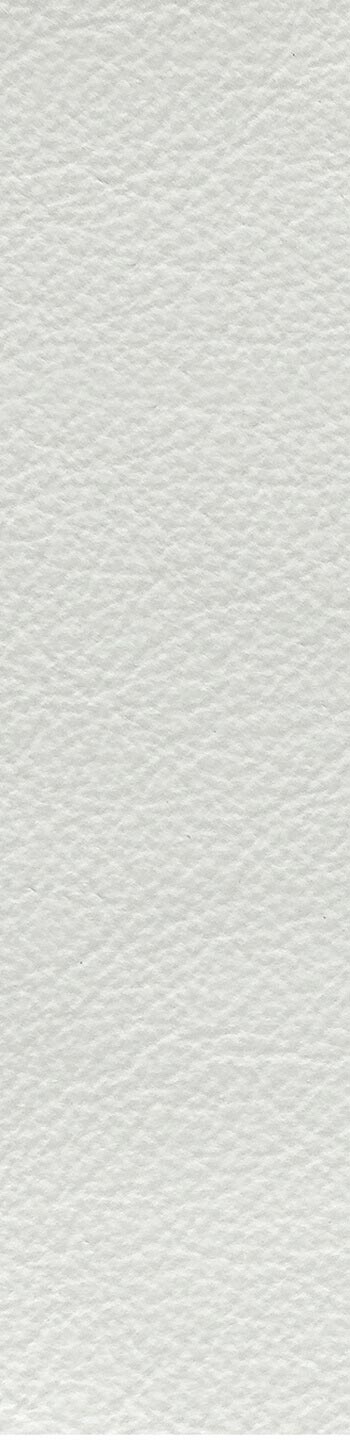 Leather I No. 634