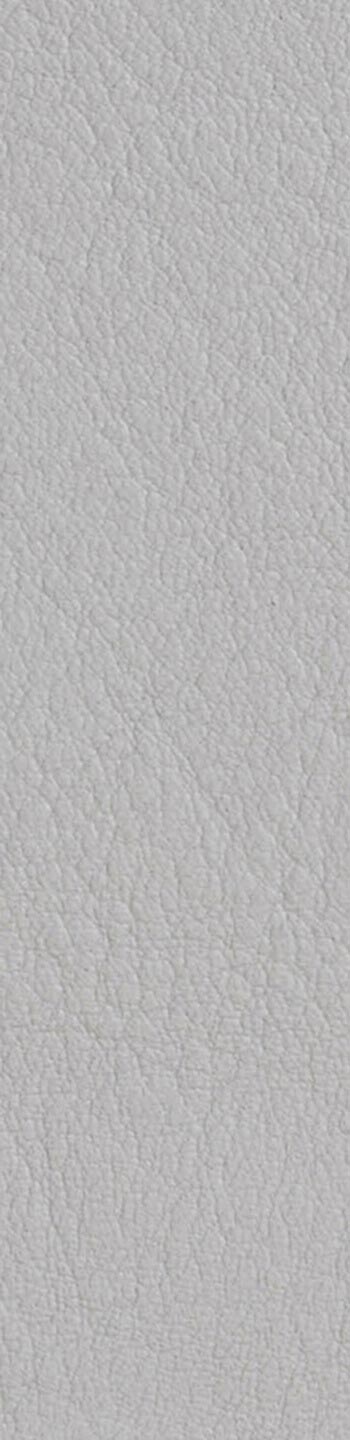 Leather II No. 11033