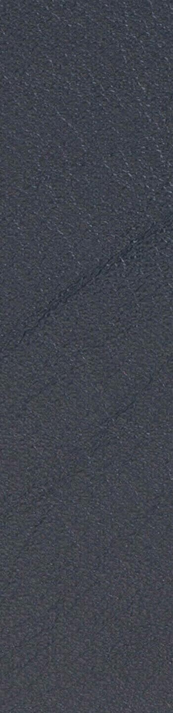 Leather II No. 97038