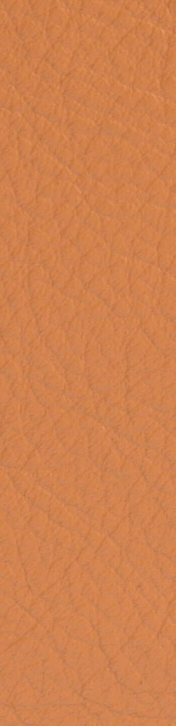 Leather II No. 54035