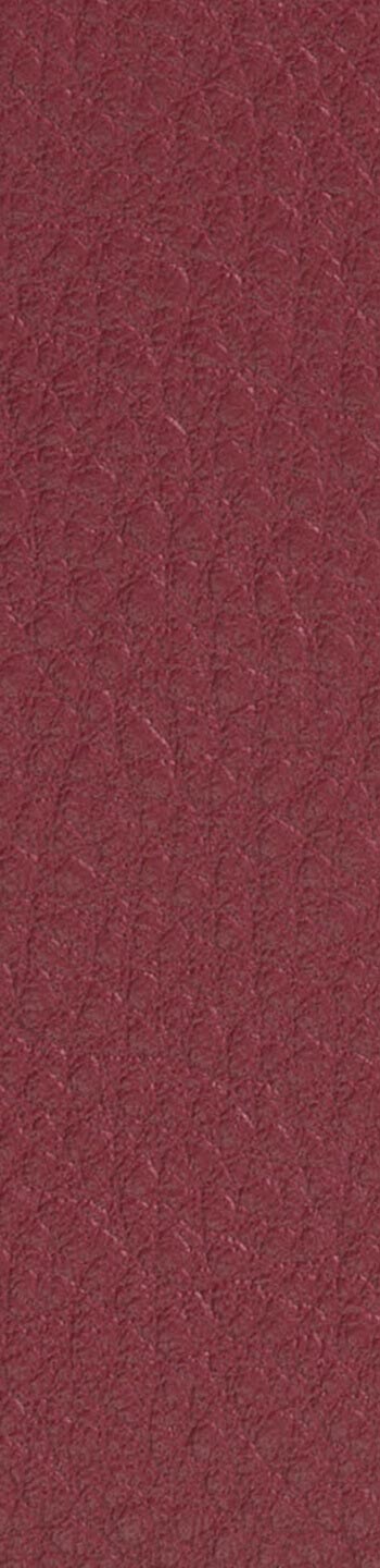 Leather II No. 35126