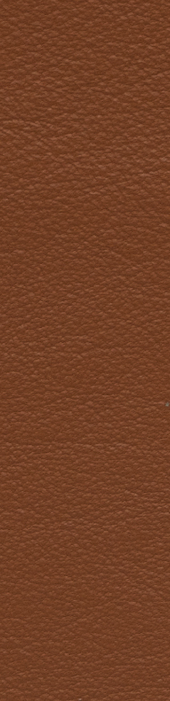 Leather II No. 33077