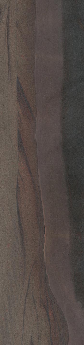 Elegant Brown leathered
