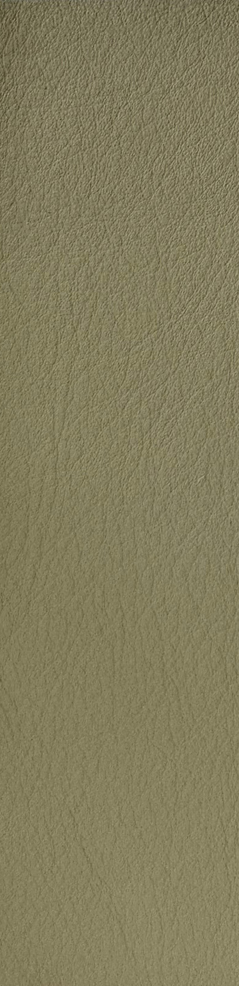 Leather II Nr. 18020