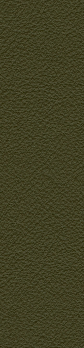 Leather I No. 632