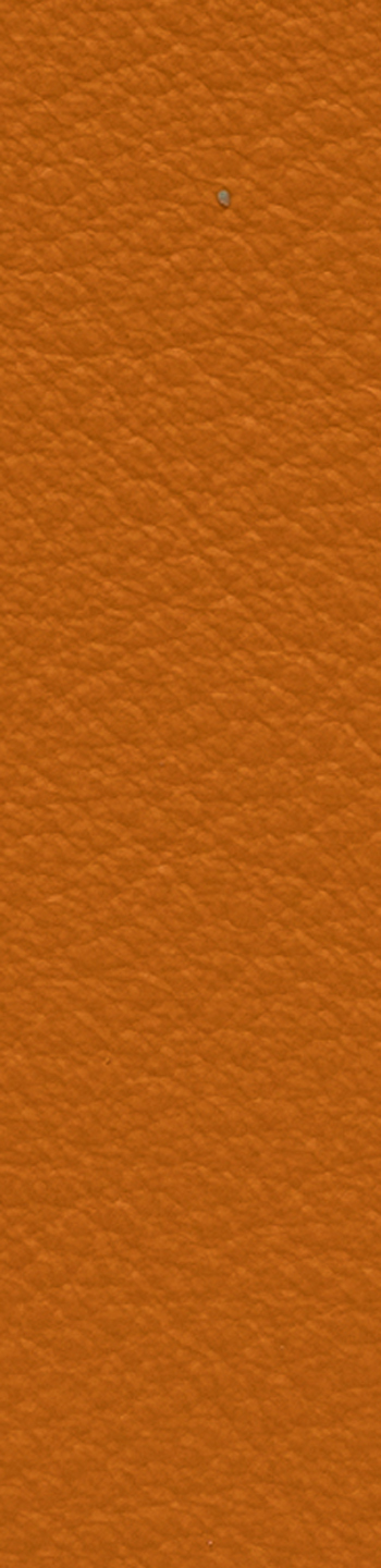 Leather II No. 54033