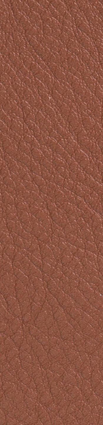 Leather II No. 33001