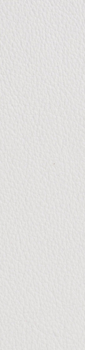 Leather II No. 01085