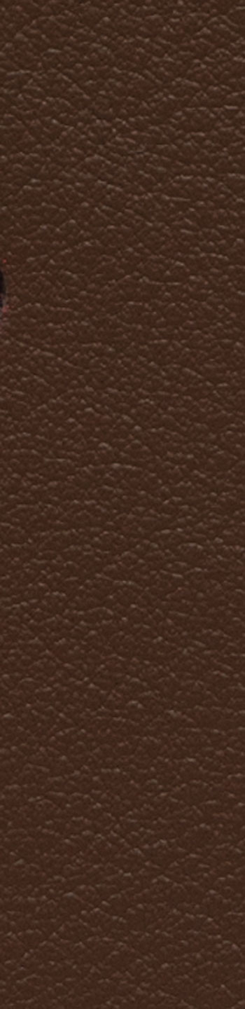 Leather II No. 93109