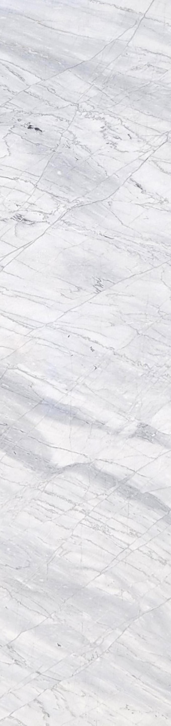 Scatto White