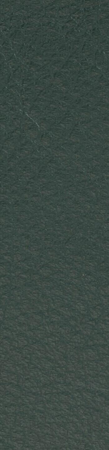 Leather II No. 98015