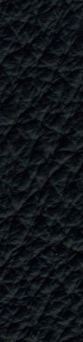 Leather I No. 89001