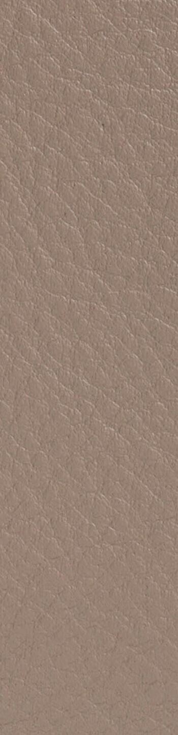 Leather II No. 13087