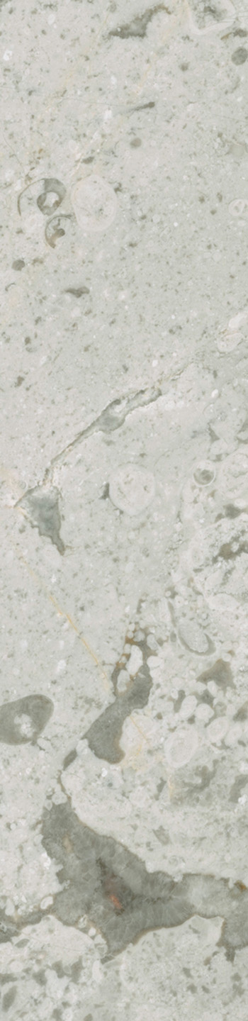 Silver River White