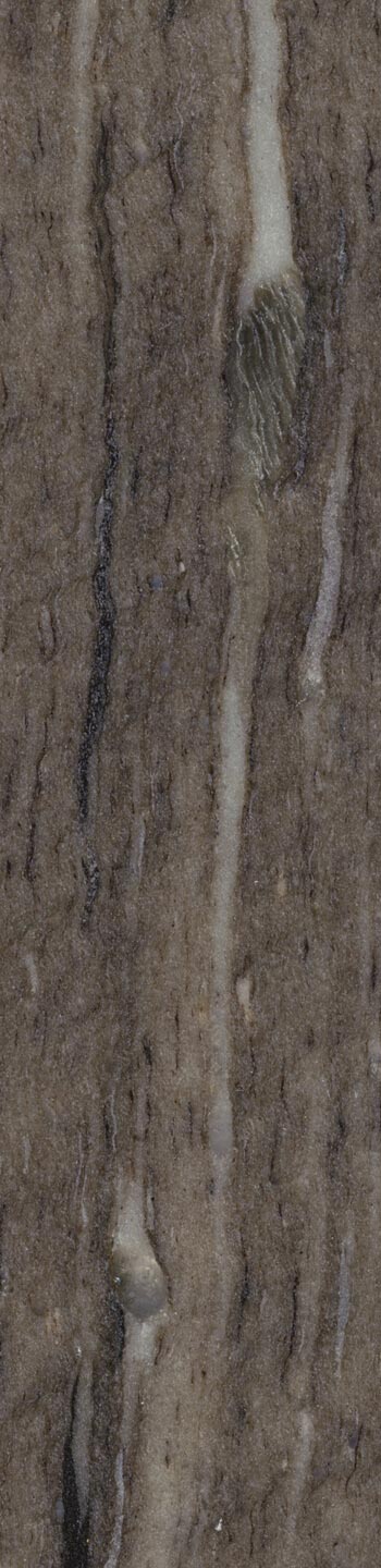 Brown Silk