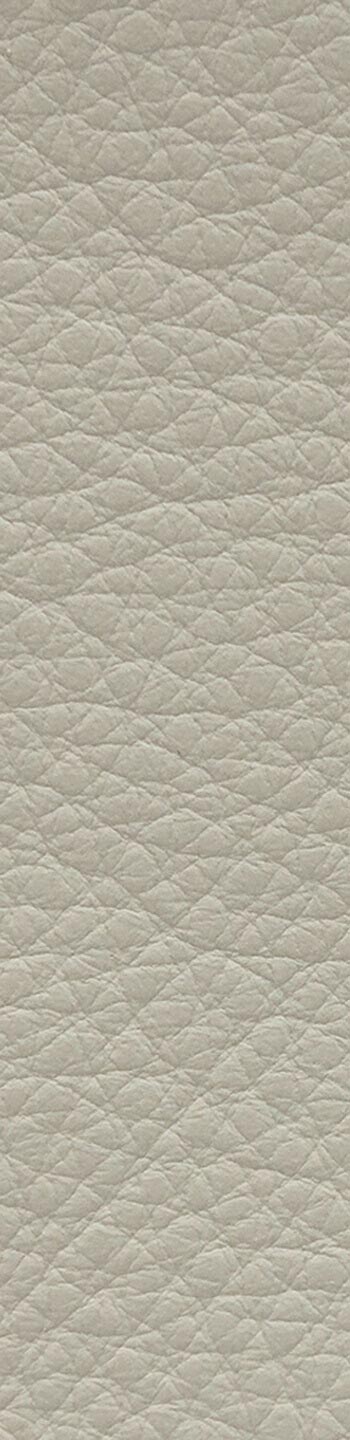 Leather I No. 647