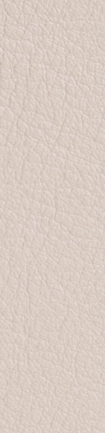 Leather II No. 01061