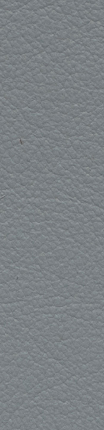 Leather II No. 01043
