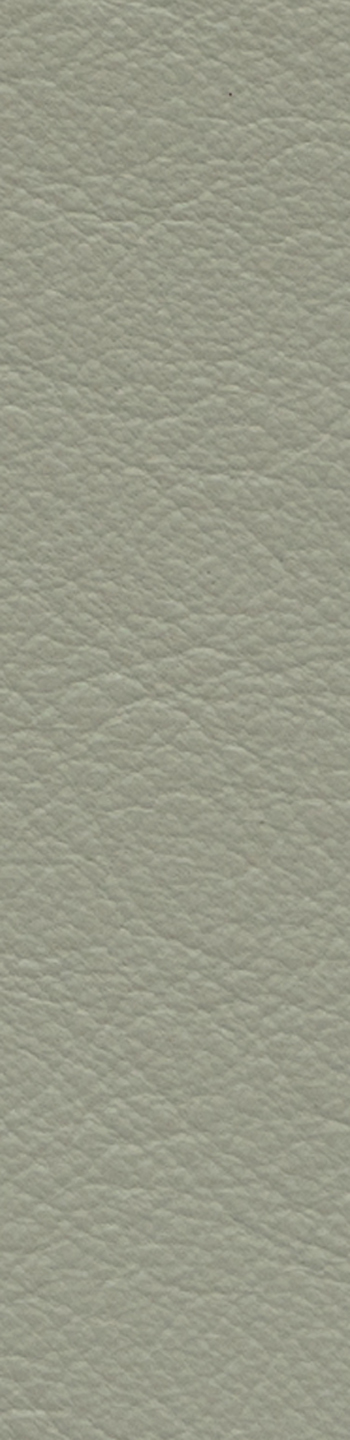 Leather II No. 08055