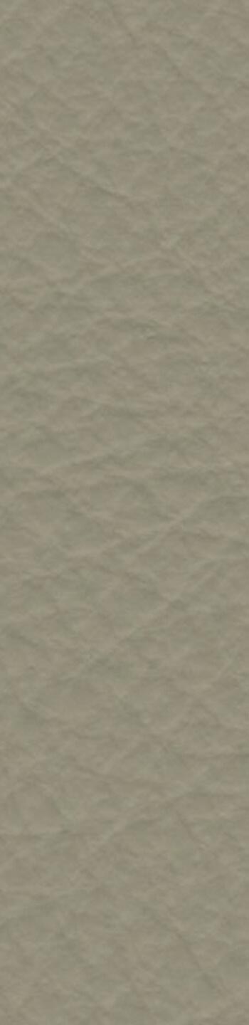 Leather I No. 626