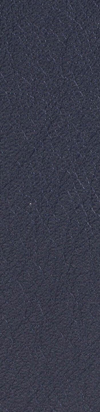 Leather II No. 77127