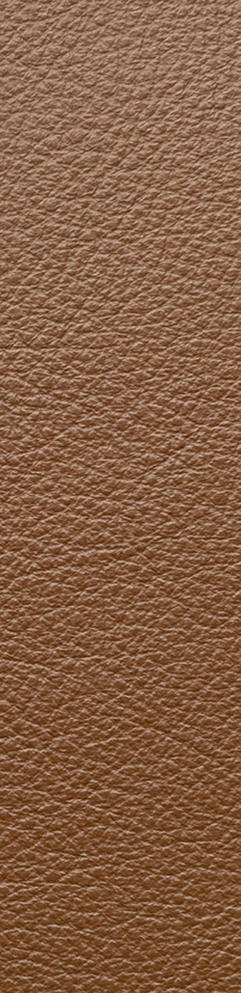 Leather I No. 662