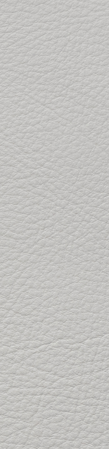 Leather I No. 668