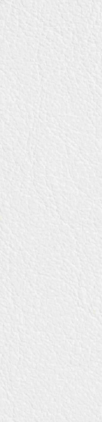 Leather II No. 00109