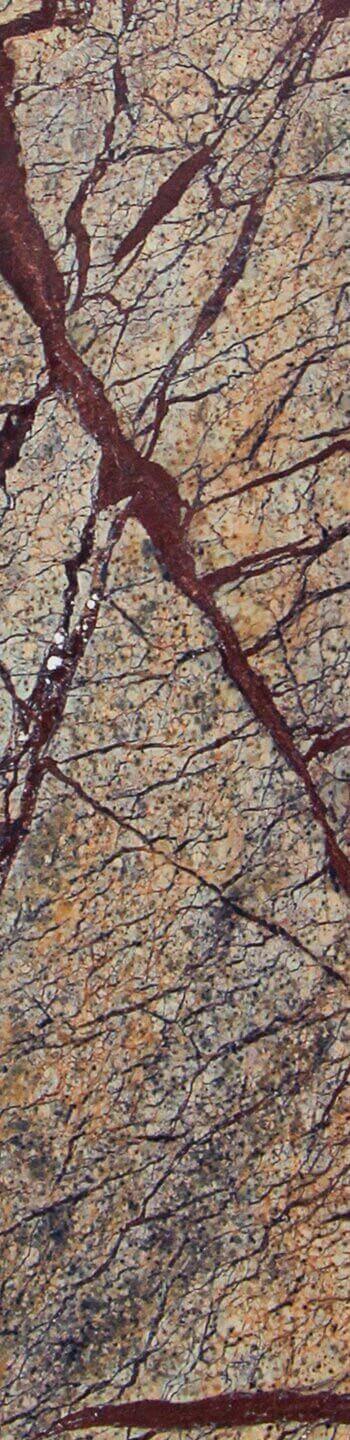 Forest Brown