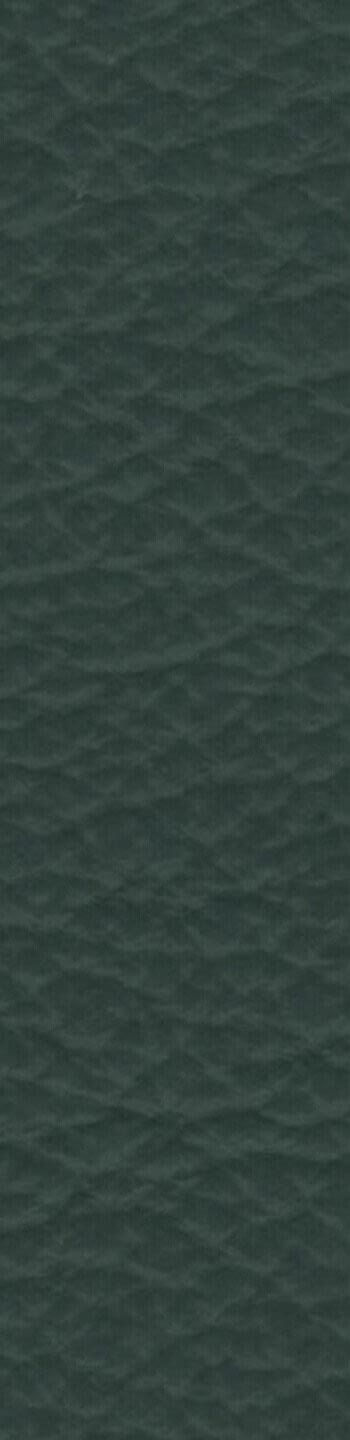 Leather I No. R919