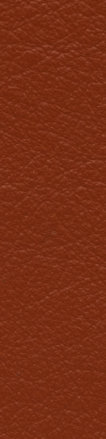 Leather II No. 54021