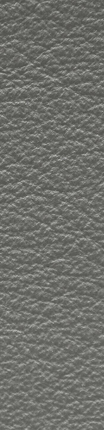 Leather I No. 660