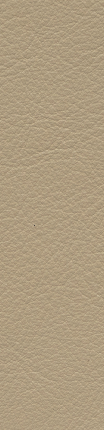 Leather II No. 02122