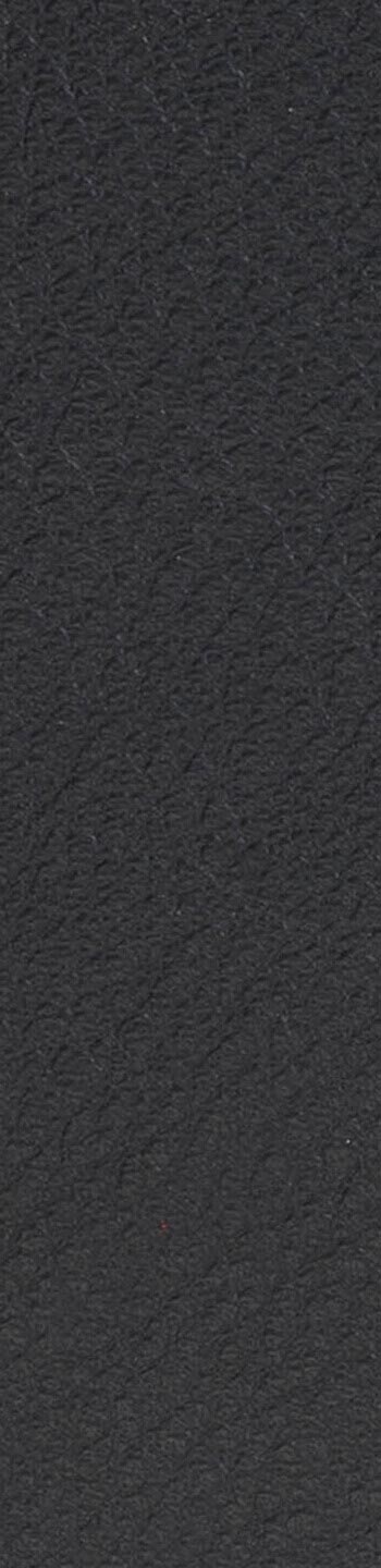 Leather II No. 99999