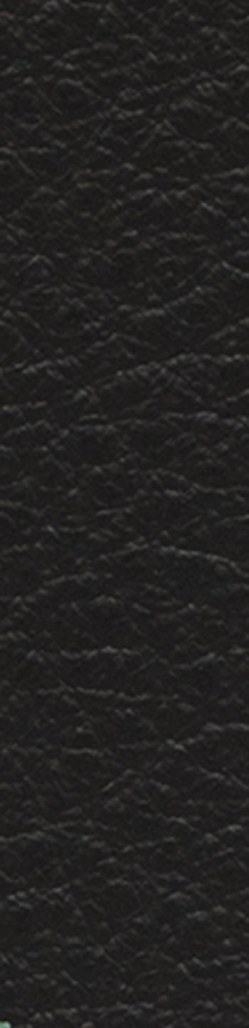Leather II No. 98087