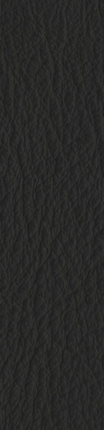 Leather I No. 740013