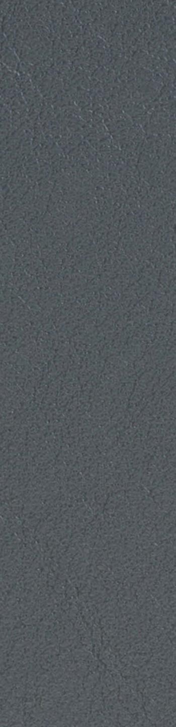 Leather II No. 71017
